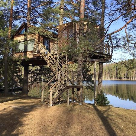 فيلا Treehouse Ciekurs Dukuri المظهر الخارجي الصورة
