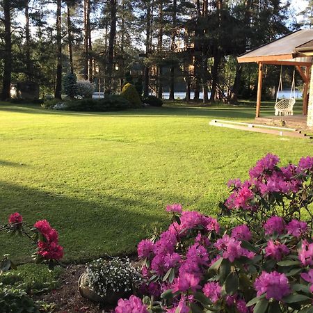 فيلا Treehouse Ciekurs Dukuri المظهر الخارجي الصورة