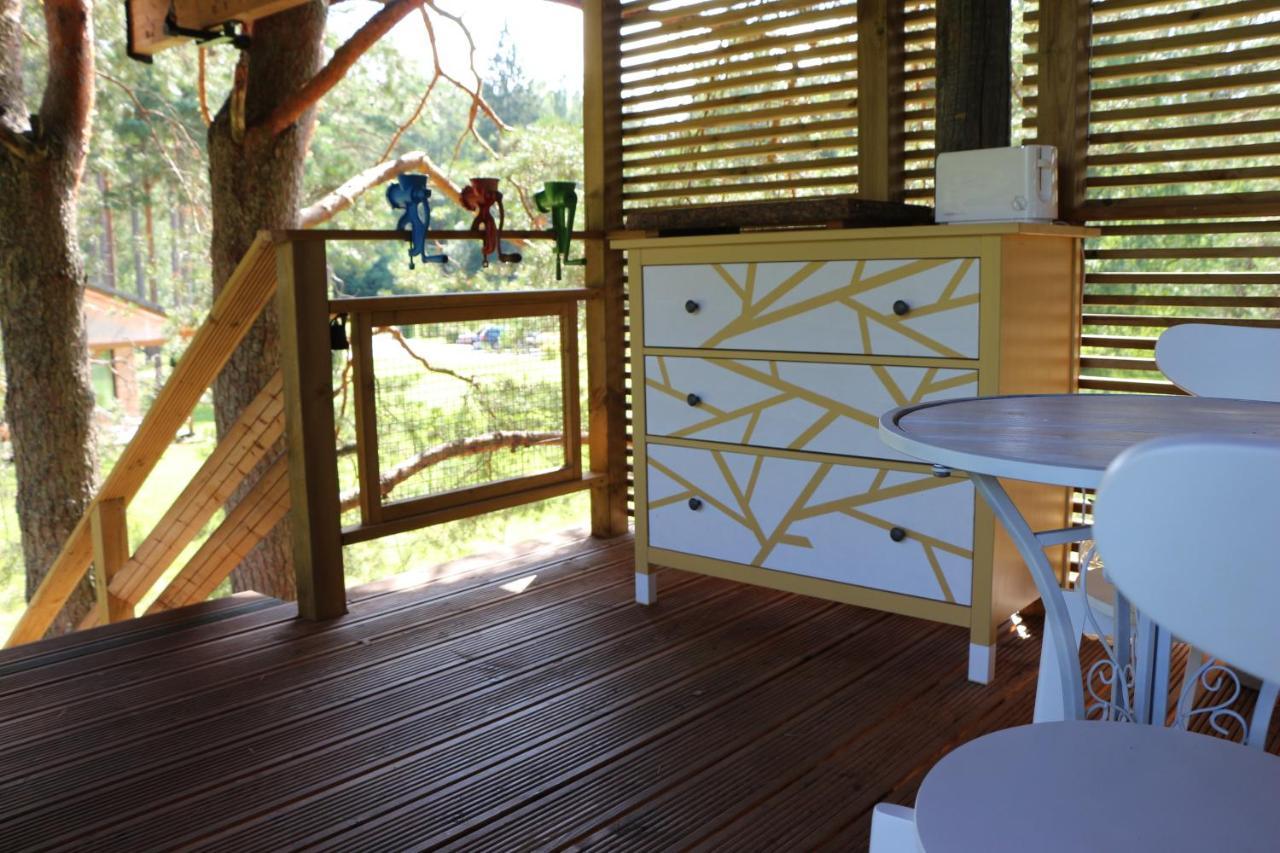 فيلا Treehouse Ciekurs Dukuri المظهر الخارجي الصورة