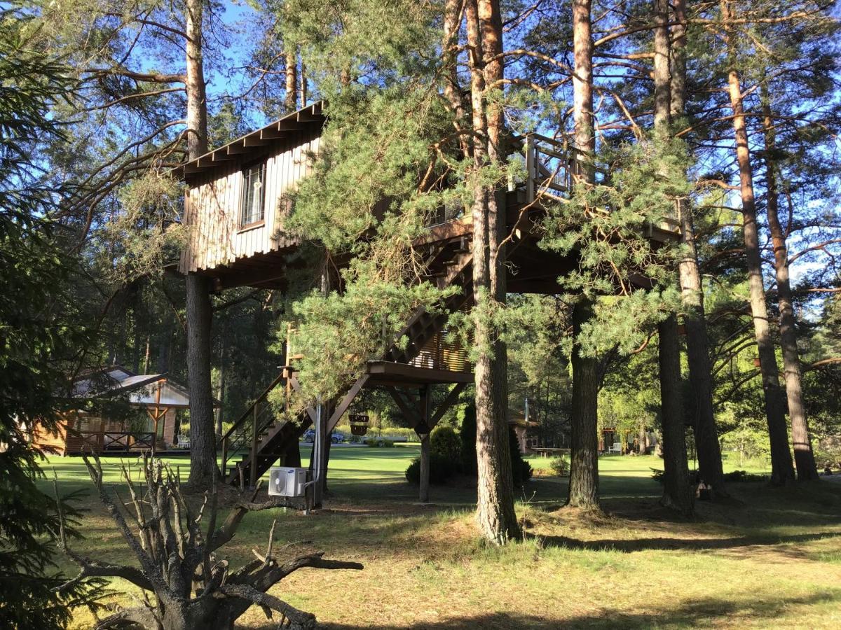 فيلا Dukuriفي Treehouse Ciekurs المظهر الخارجي الصورة