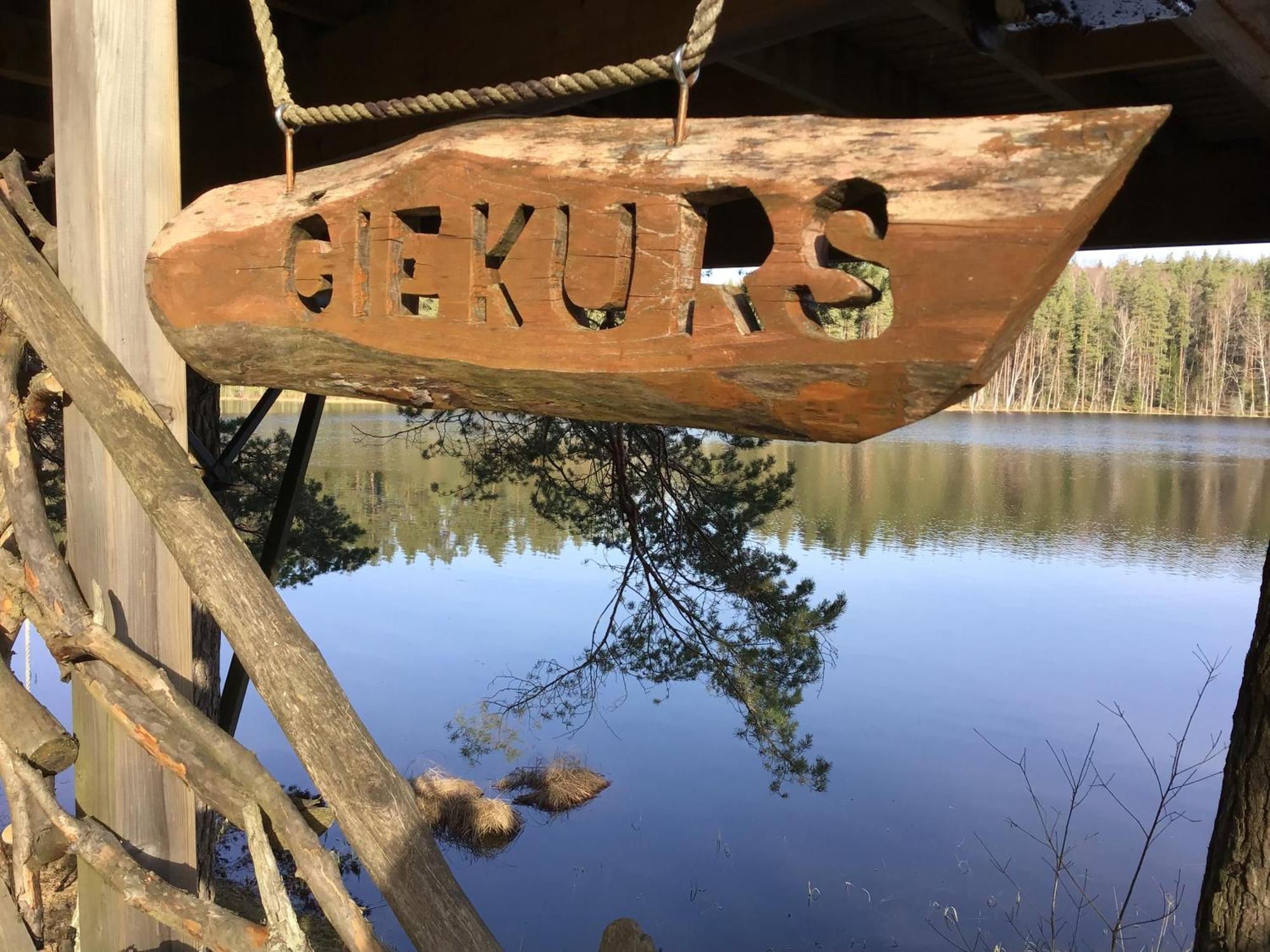 فيلا Treehouse Ciekurs Dukuri المظهر الخارجي الصورة