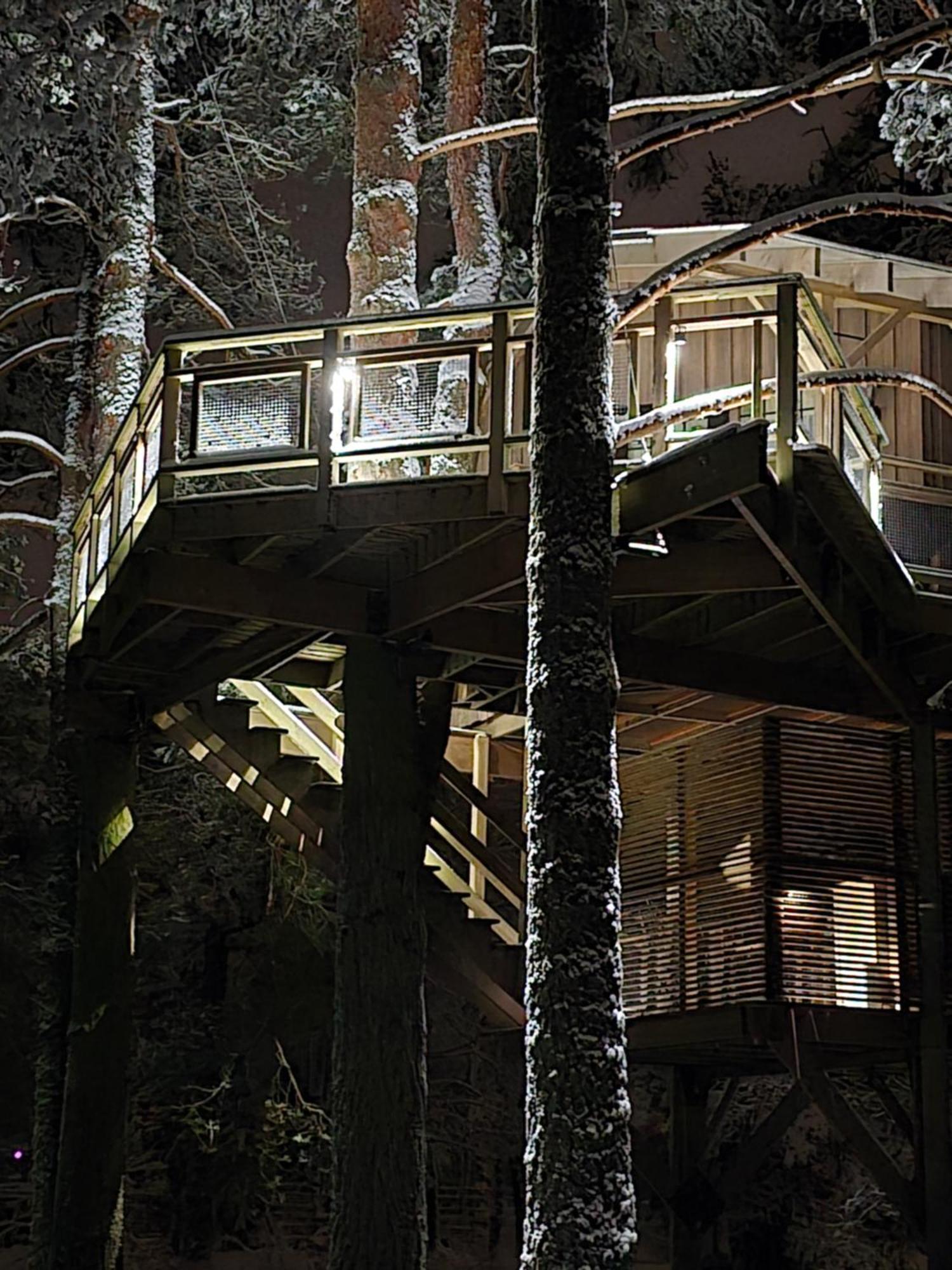 فيلا Treehouse Ciekurs Dukuri المظهر الخارجي الصورة