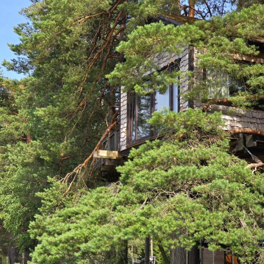 فيلا Treehouse Ciekurs Dukuri المظهر الخارجي الصورة