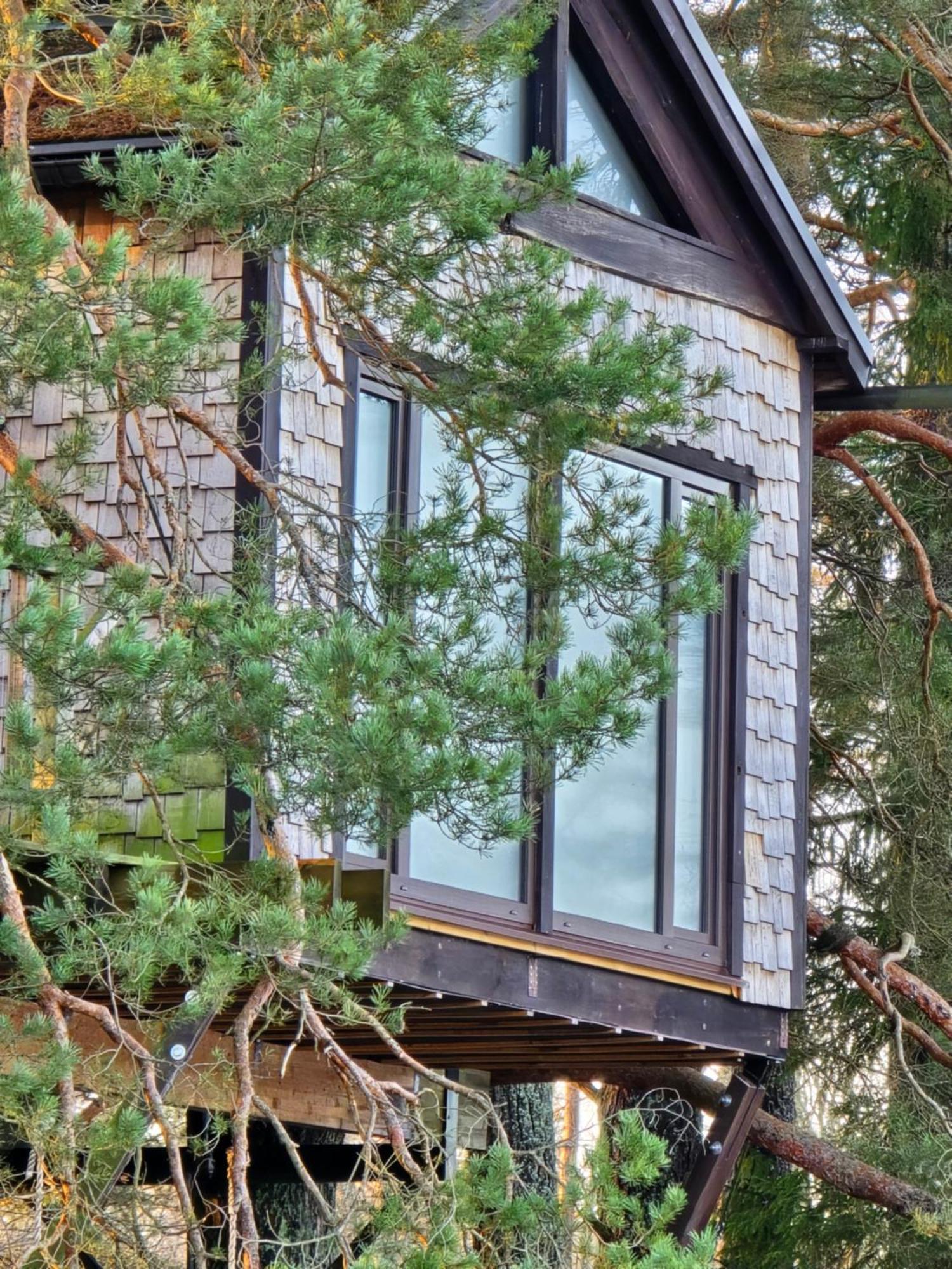 فيلا Treehouse Ciekurs Dukuri المظهر الخارجي الصورة