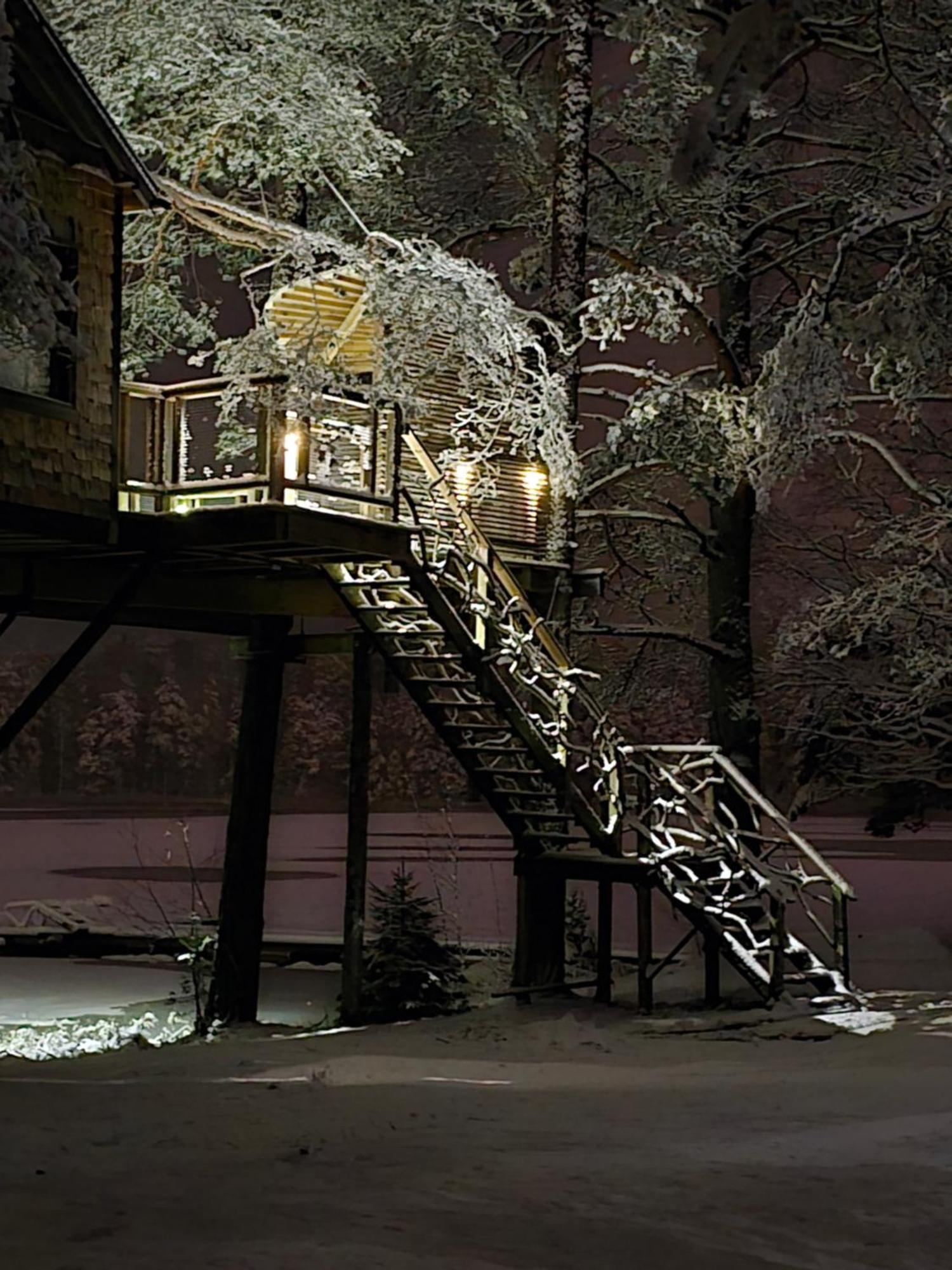 فيلا Treehouse Ciekurs Dukuri المظهر الخارجي الصورة