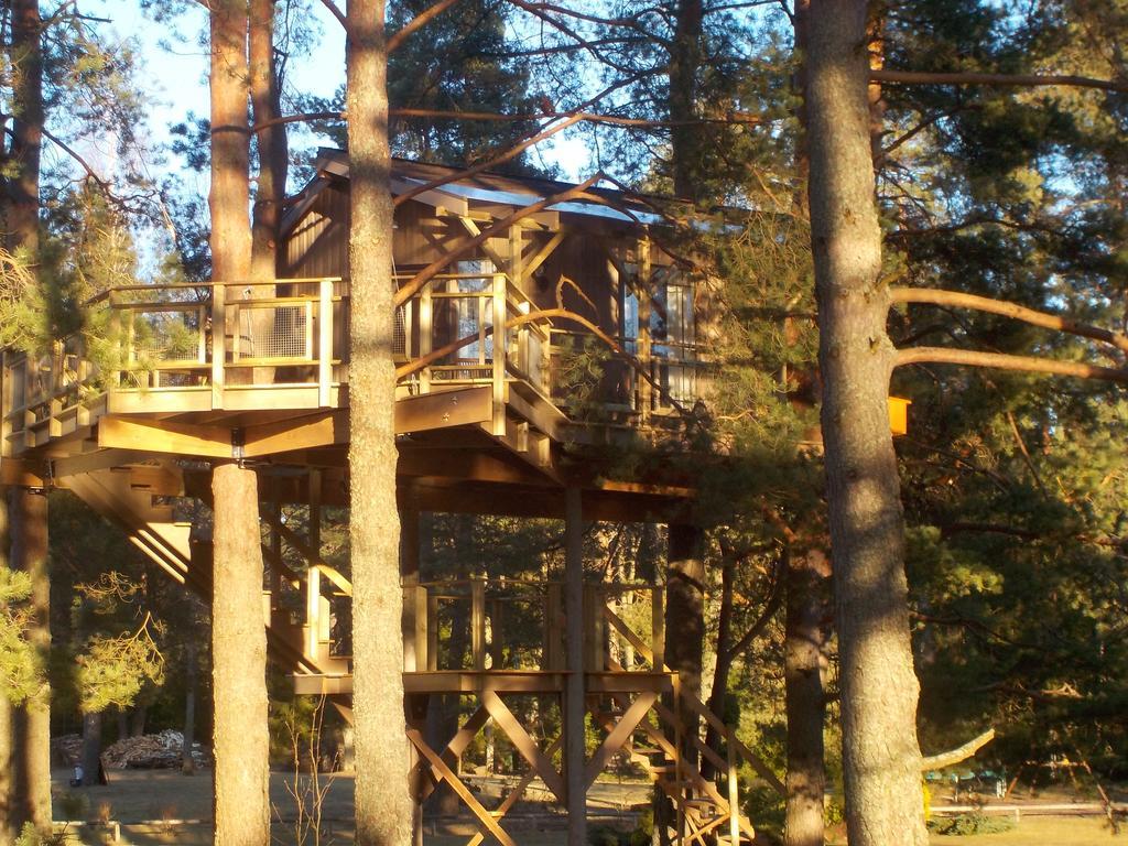 فيلا Treehouse Ciekurs Dukuri المظهر الخارجي الصورة