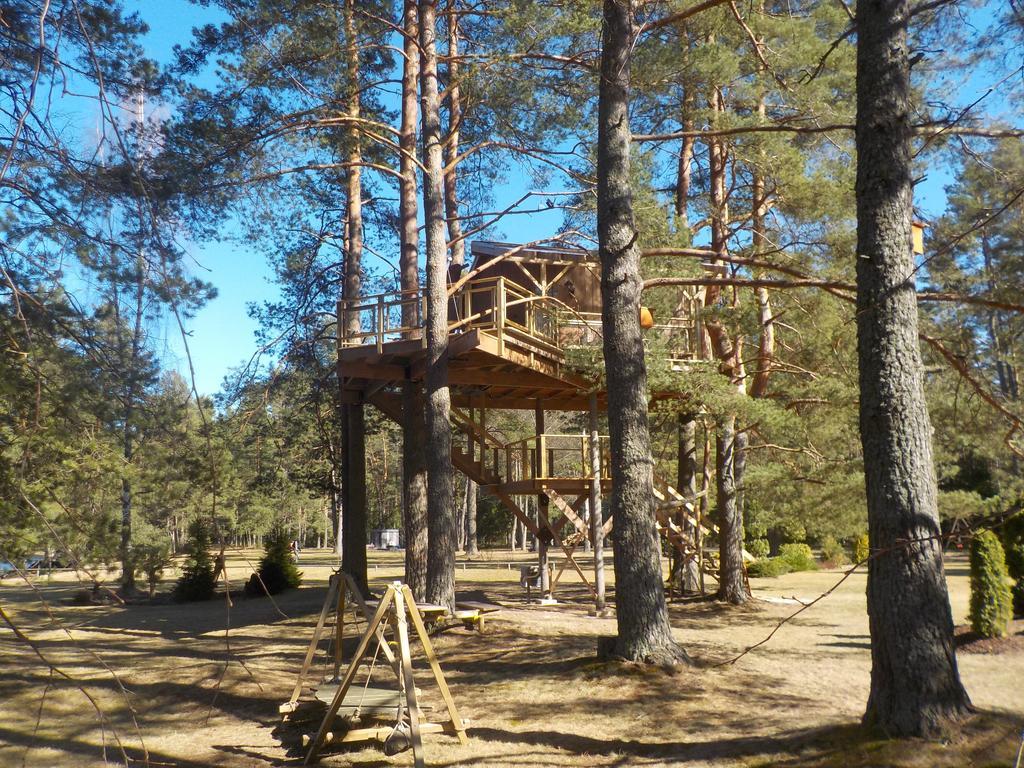 فيلا Dukuriفي Treehouse Ciekurs المظهر الخارجي الصورة