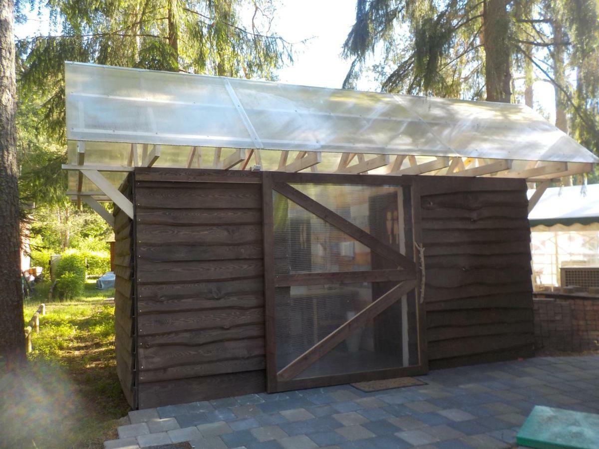 فيلا Treehouse Ciekurs Dukuri المظهر الخارجي الصورة