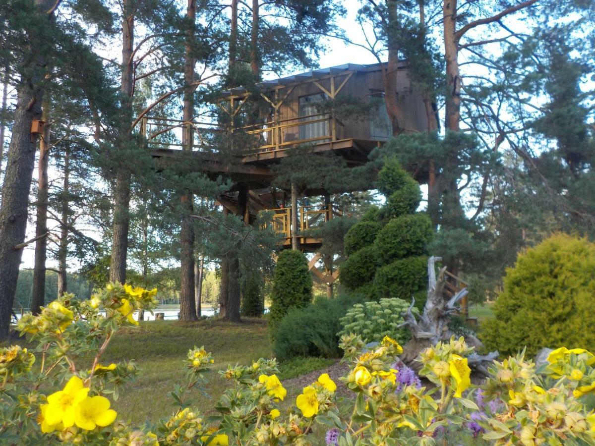 فيلا Dukuriفي Treehouse Ciekurs المظهر الخارجي الصورة