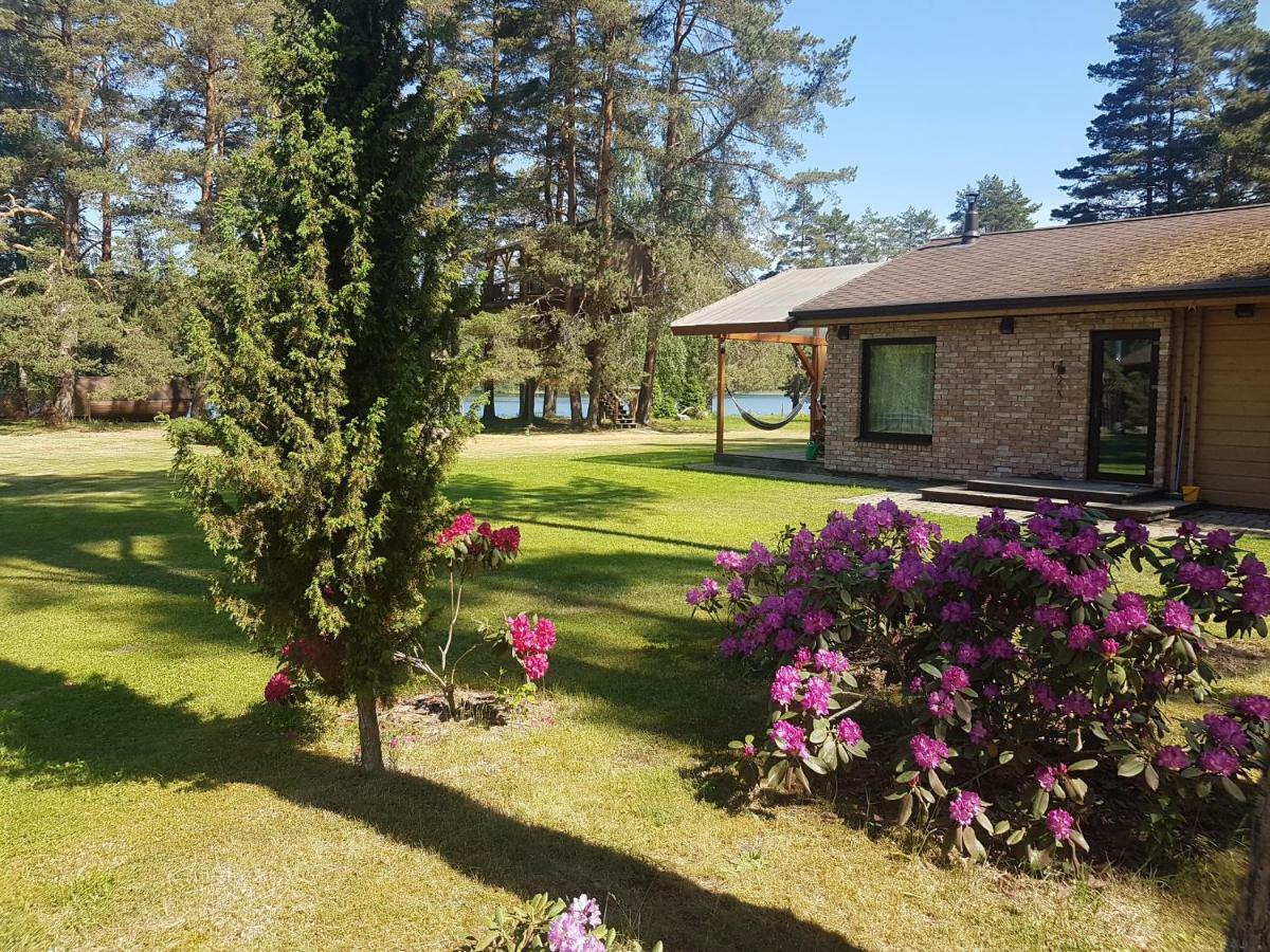 فيلا Treehouse Ciekurs Dukuri المظهر الخارجي الصورة